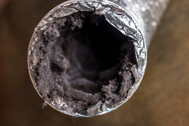 Best Affordable HVAC Duct Cleaning  in St Charles, MN