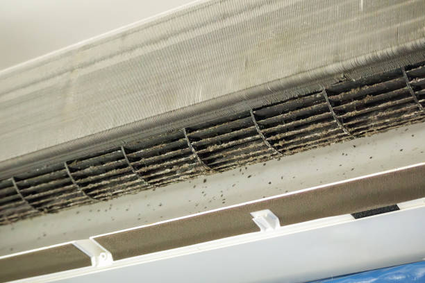 Best Dryer Vent Cleaning Services  in St Charles, MN