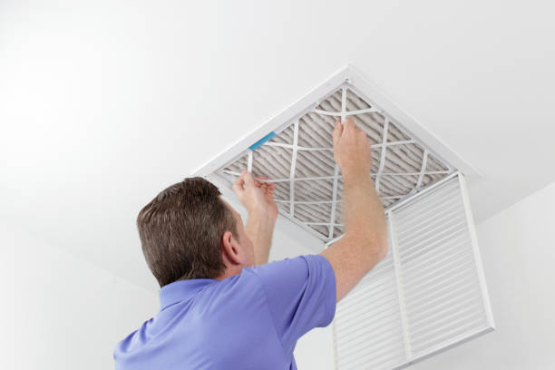 Best HVAC Duct Inspection Services  in St Charles, MN